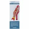 David Howell And Company David Howell - Koinobori Mother Of The Family Bookmark -Lonely Planet Books Shop 442119 Large